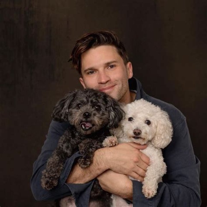 
Daniel Schwartz Height, Weight, Net Worth, Age, Birthday, Wikipedia, Who, Instagram, Biography 
